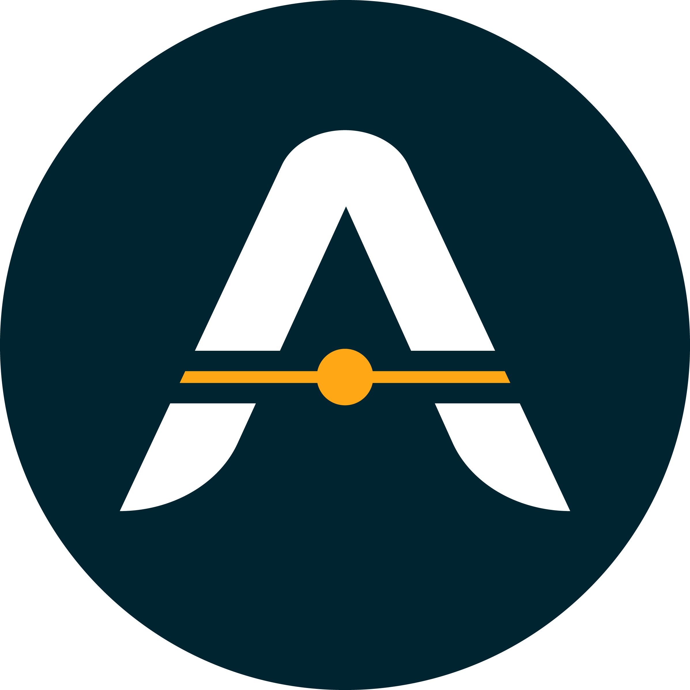 Logo Icon